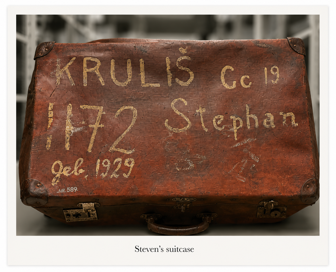 Steven's Suitcase